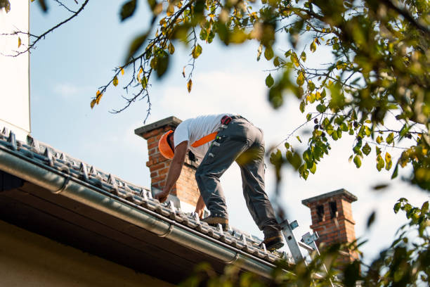 Best Gutter Installation and Roofing  in Braham, MN