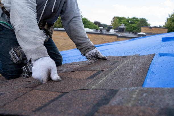 Best Roof Replacement Cost  in Braham, MN
